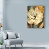 Trademark Fine Art Marietta Cohen Art And Design 'Cream Flower Illustrations 1' Canvas Art, 24x32 ALI43164-C2432GG